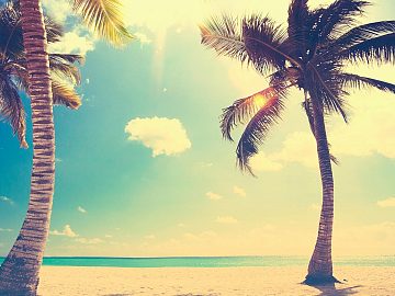 Zdjęcie kierunku: Punta Cana